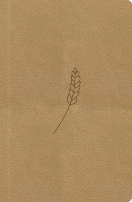 Bible21 – kapesní