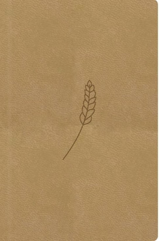 Bible21 – kapesní