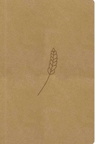 Bible21 – kapesní