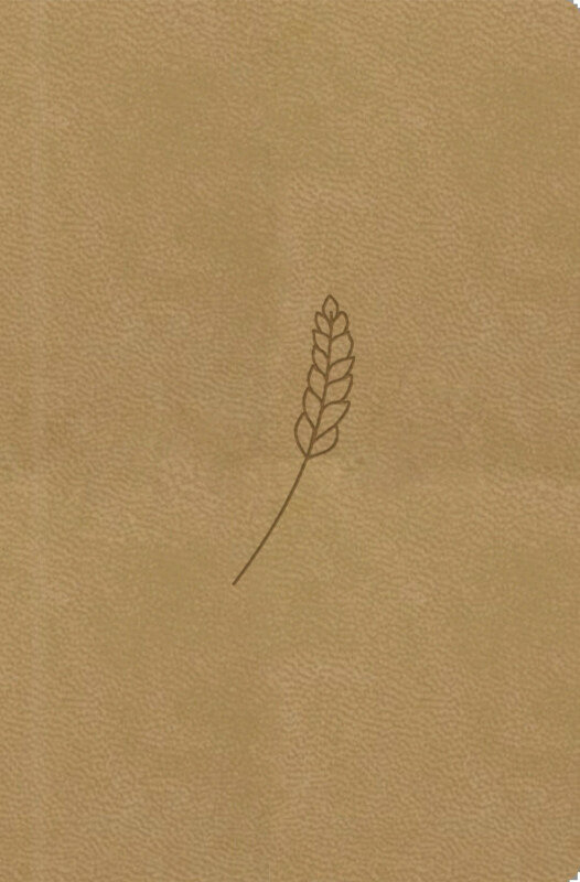 Bible21 – kapesní