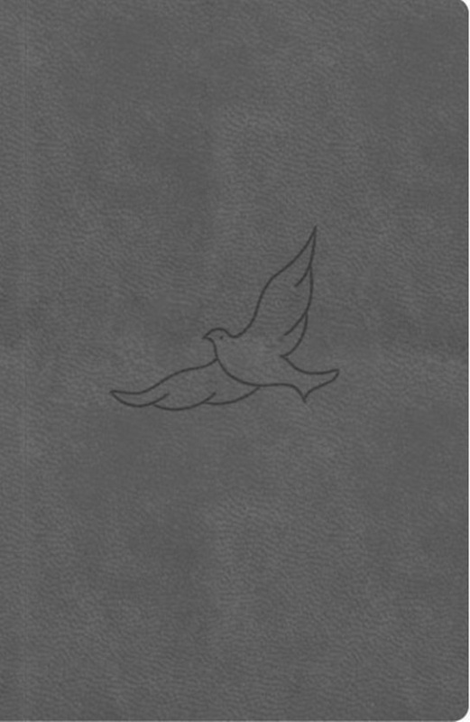 Bible21 – kapesní
