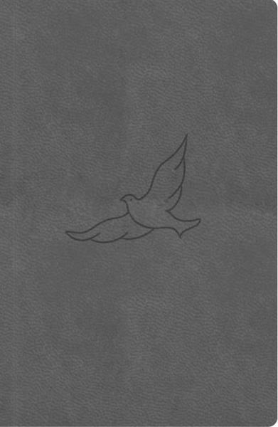 Bible21 – kapesní