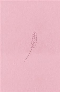 Bible21 – kapesní