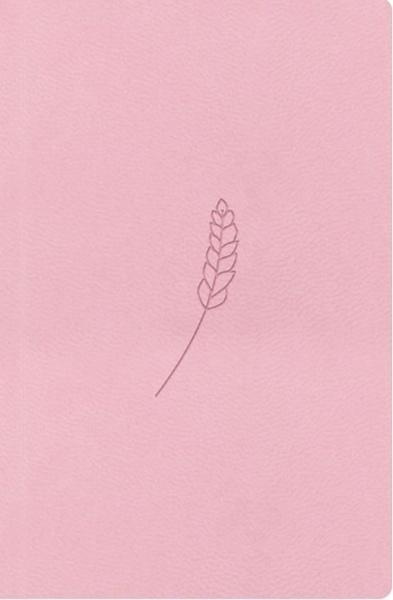 Bible21 – kapesní