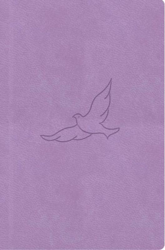 Bible21 – kapesní