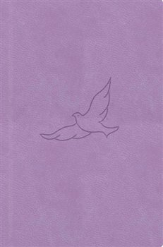 Bible21 – kapesní