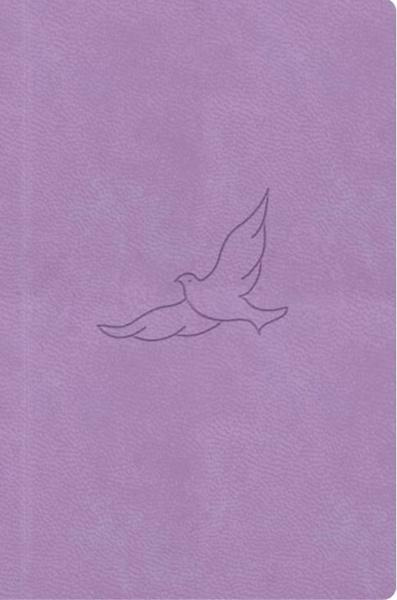 Bible21 – kapesní