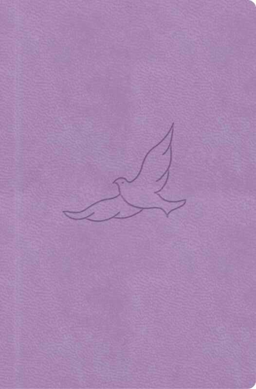Bible21 – kapesní
