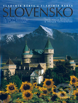 Slovensko v treťom tisícročí - Vladimír Bárta, Vladimír Barta, Viera Sokolová - kniha z kategorie Historie