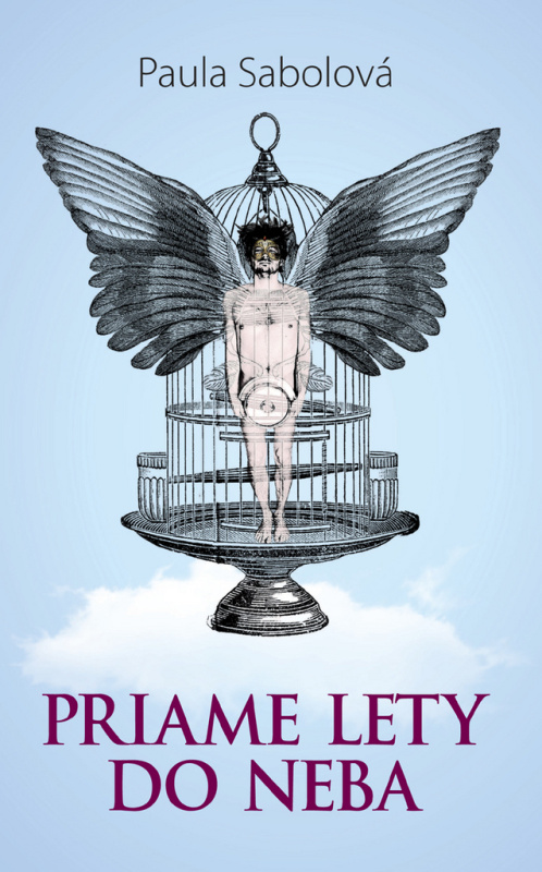 Priame lety do neba - Paula Sabolová - kniha z kategorie Beletrie