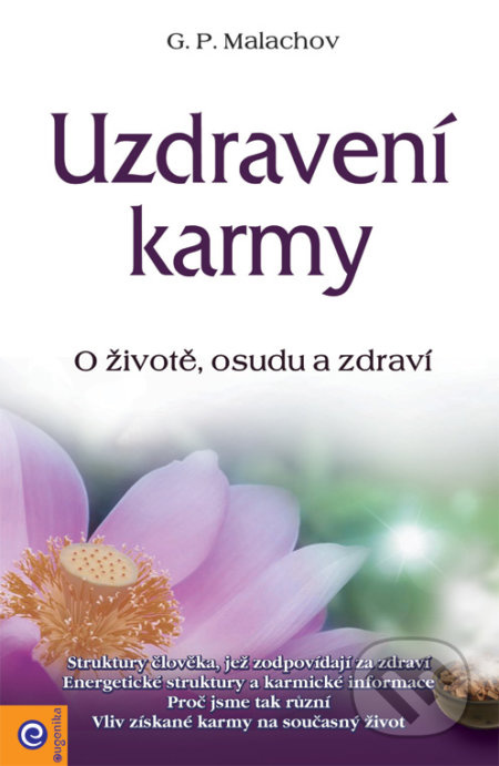 Uzdravení karmy