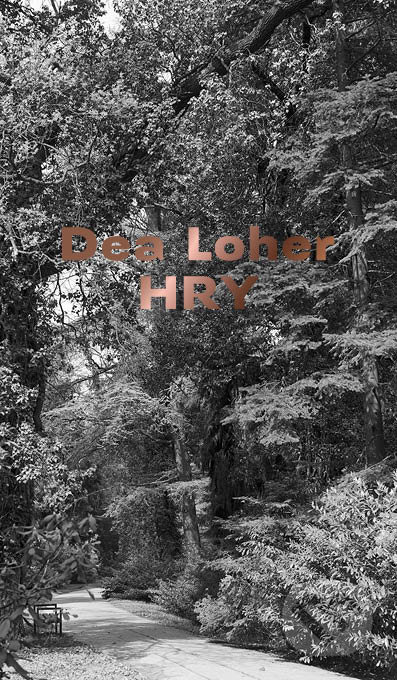 Hry - Dea Loher - kniha z kategorie Drama a divadelní hry