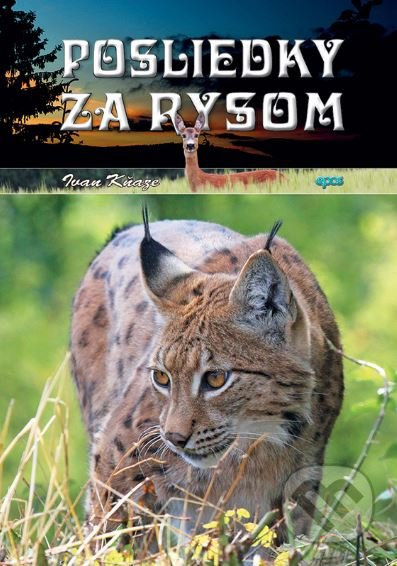 Posliedky za rysom - Ivan Kňaze - kniha z kategorie Beletrie