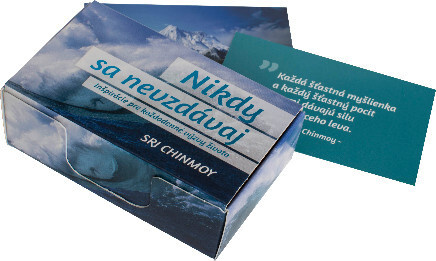 Nikdy sa nevzdávaj (Inšpirácie pre každodenné výzvy života) - kniha z kategorie Aforismy