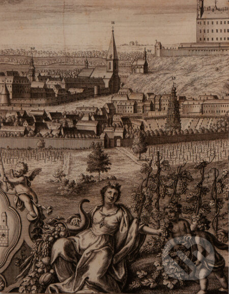 Ľudia a mesto / The city and its people - Elena Kurincová, kolektív autorov - kniha z kategorie Historie