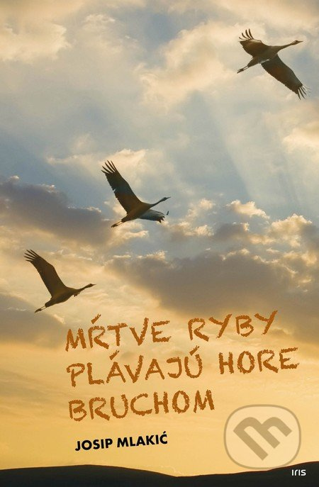 Mŕtve ryby plávajú hore bruchom - Josip Mlakić - kniha z kategorie Beletrie