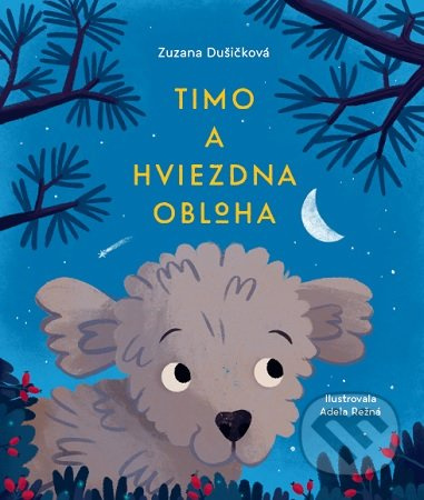 Timo a hviezdna obloha - Adela Režná (ilustrátor), Zuzana Dušičková - kniha z kategorie Pro děti