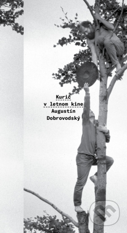 Kurič v letnom kine - Augustín Dobrovodský - kniha z kategorie Poezie