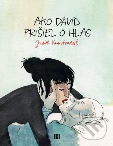 Ako Dávid prišiel o hlas - Judith Vanistendael - kniha z kategorie Společenská beletrie