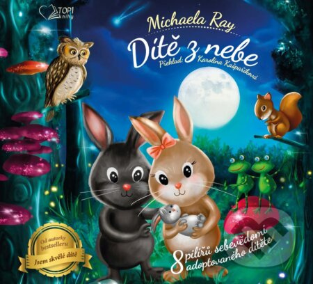 Dítě z nebe (8 pilířů sebevědomí adoptovaného dítěte) - kniha z kategorie Beletrie pro děti