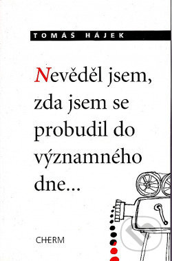 Nevěděl jsem, zda jsem se probudil do významného dne... - kniha z kategorie Společenská beletrie