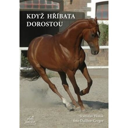Když hříbata dorostou - Dalibor Gregor, Stanislav Hošák