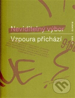 Vzpoura přichází - Neviditelný výbor