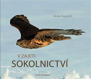 V zajetí sokolnictví - Václav Augustin