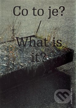 Co to je? / What is it