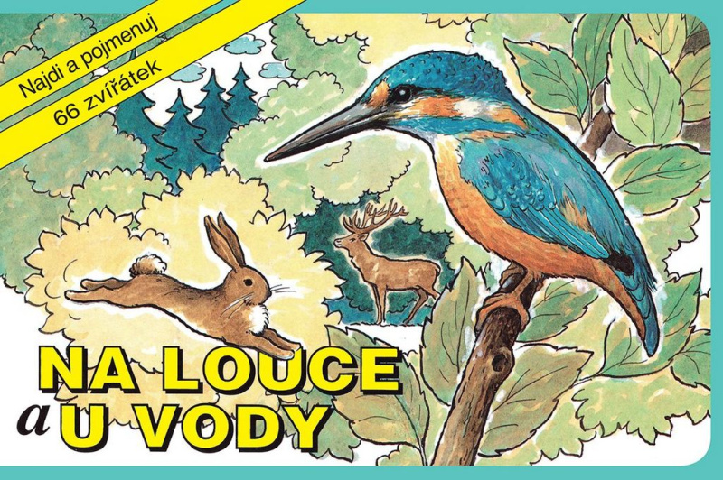 Na louce a u vody (Najdi a pojmenuj 66 zvířátek) - kniha z kategorie Pro děti