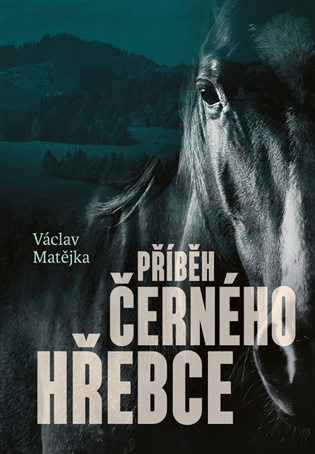 Příběh černého hřebce