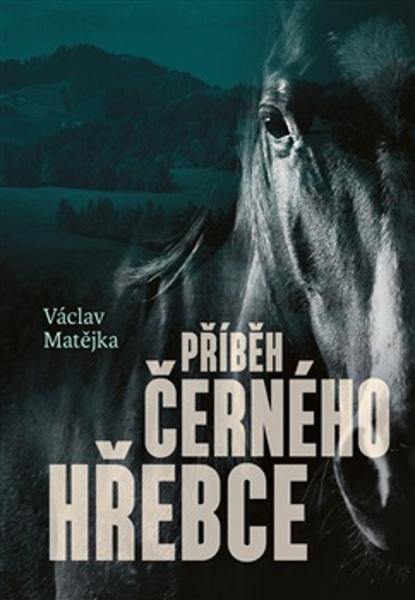 Příběh černého hřebce
