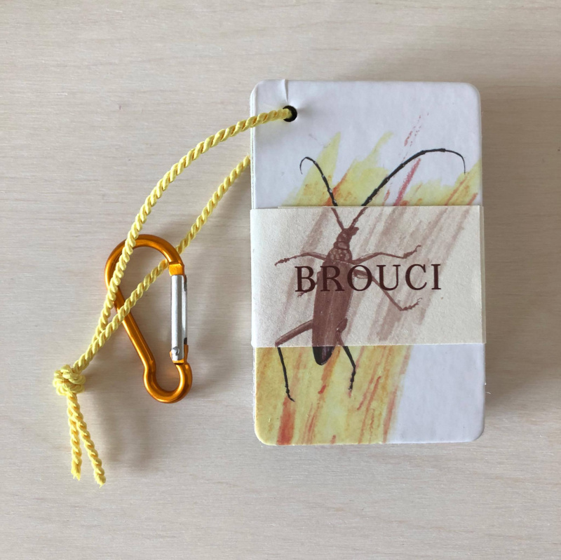 Brouci kapesní atlas