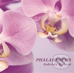 Phalaenopsis - Gabriela Šípková