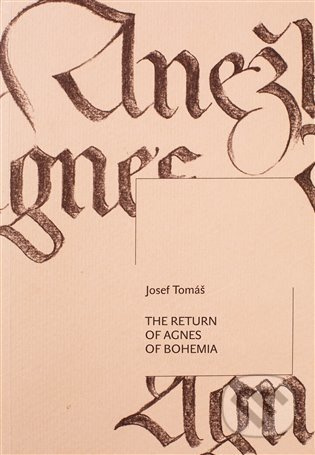 The Return of Agnes of Bohemia - Josef Tomáš