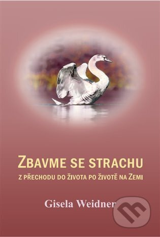 Zbavme se strachu - Gisela Weidner