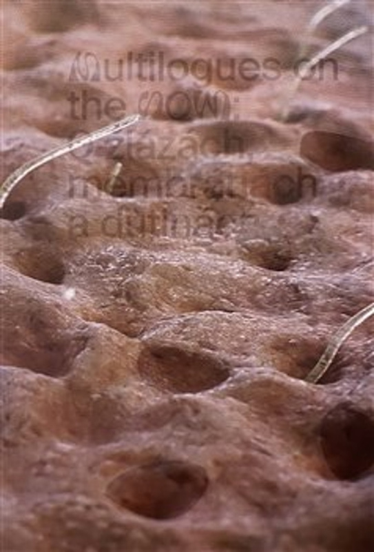 Multilogues on the Now: O žlázách, membránách a dutinách - Zuzana Jakalová, Hana Janečková