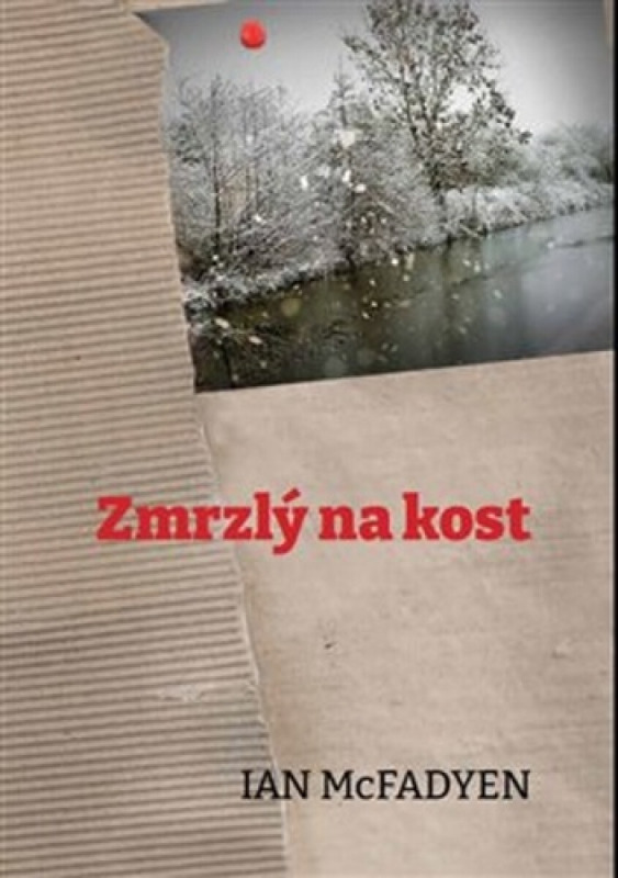 Zmrzlý na kost - Ian McFadyen
