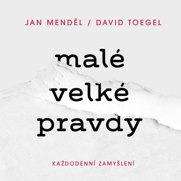 Malé velké pravdy: Každodenní zamyšlení - Jan Menděl, David Toegel