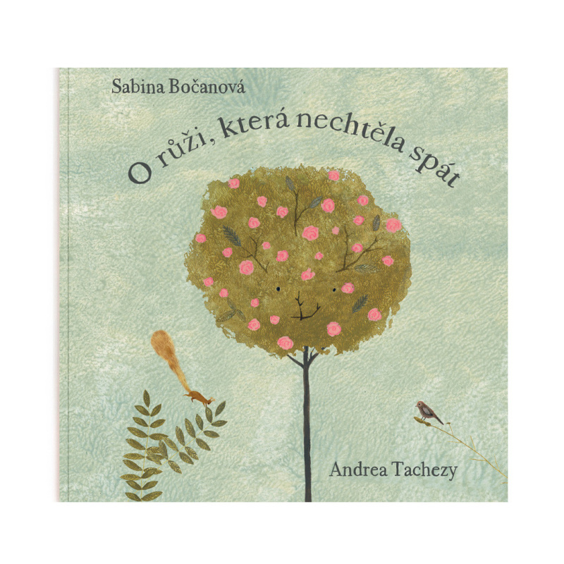 O růži, která nechtěla spát - Sabina Bočanová