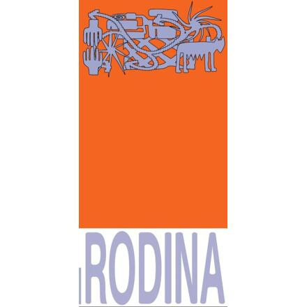 Nejen Nukleární Rodina