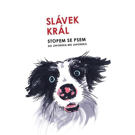 Stopem se psem - Slávek Král