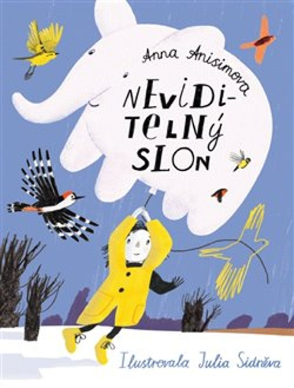 Neviditelný slon - Anna Anisimová