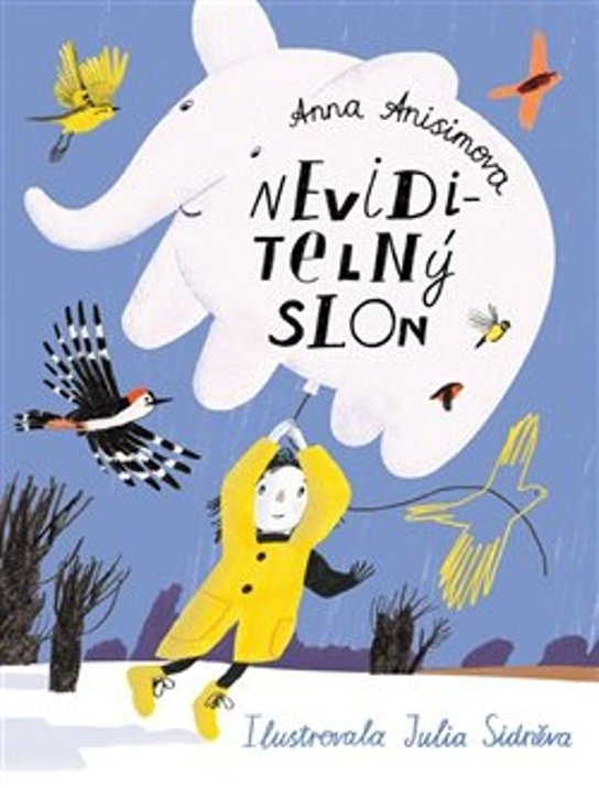 Neviditelný slon - Anna Anisimová