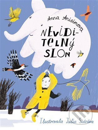 Neviditelný slon - Anna Anisimová