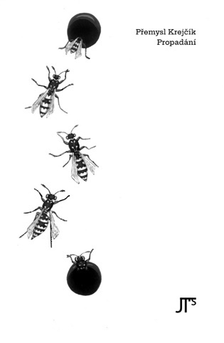 Propadání - Přemysl Krejčík