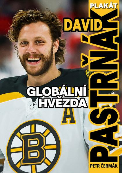 David Pastrňák: Globální hvězda - Petr Čermák,David Pastrňák: Globální hvězda - Petr Čermák - kniha z kategorie Životopisy