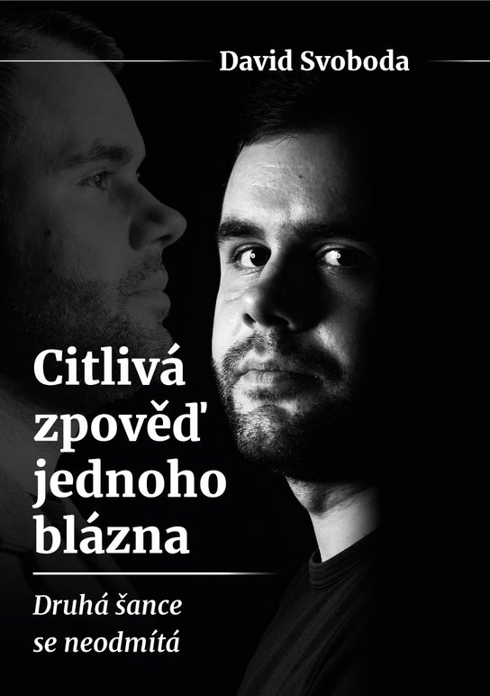 Citlivá zpověď jednoho blázna -  David Svoboda