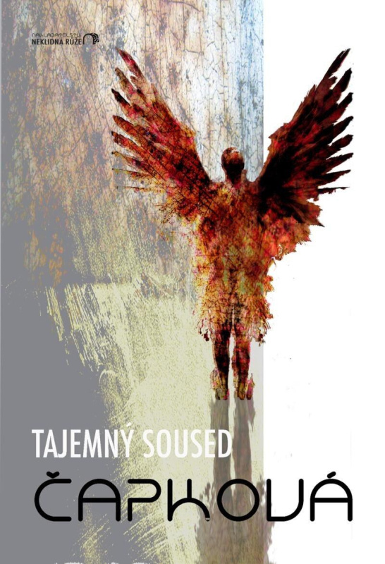 Tajemný soused - Monika J. Čapková