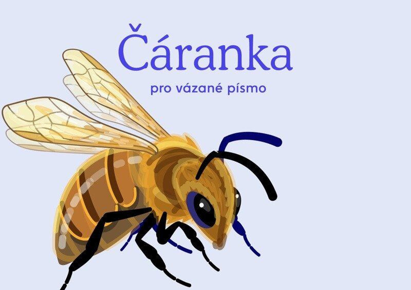 Český jazyk - Čáranka pro vázané písmo - Kateřina Machová Ondřejová, Anna Rosová - kniha z kategorie 1. stupeň
